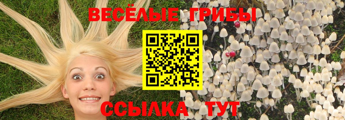 Избербаш  Галлюциногенные грибы GOLDEN TEACHER  Вход с VPN 