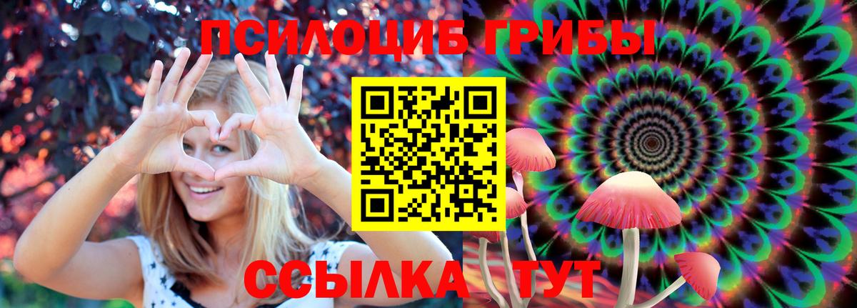 Псилоцибиновые грибы ЛСД Избербаш